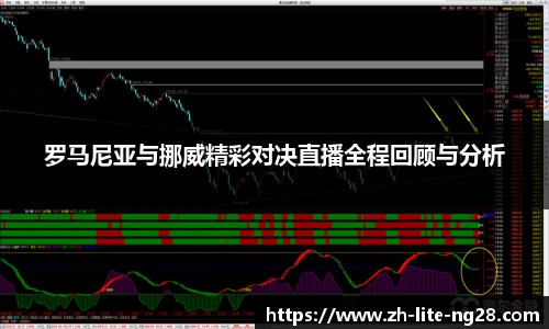罗马尼亚与挪威精彩对决直播全程回顾与分析